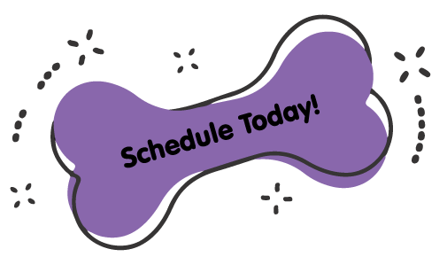 https://staging.animalcrackerssouthlyon.com/wp-content/uploads/2021/09/Schedule-Today-Purple-Bone.png