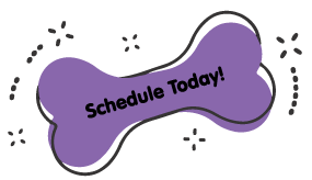 https://staging.animalcrackerssouthlyon.com/wp-content/uploads/2021/09/book-today-purple-bone.png